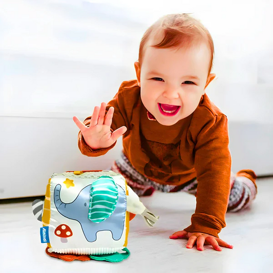 Cubo de Atividades Baby